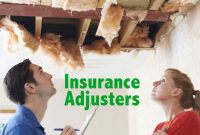 how to get insurance adjusters, insurance adjuster salary, insurance adjuster requirements, insurance adjuster near me, insurance adjuster license, how to scare insurance adjuster, insurance adjuster course, insurance adjuster job description, are insurance adjusters in demand